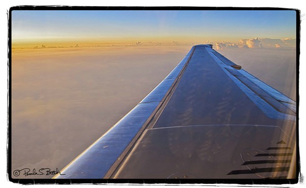 Soaring Home