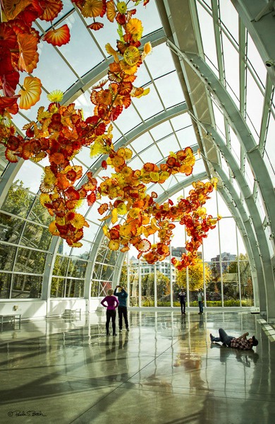 Chihuly Garden & Glass Atrium, Seattle Center