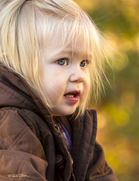Sweet Adeline