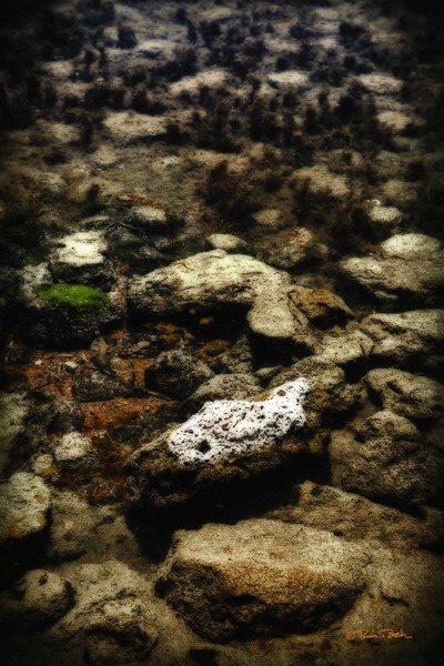 Big Springs Rocks 1