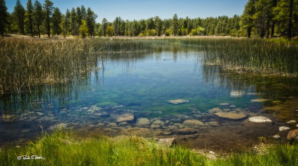 Big Springs, Pinetop AZ