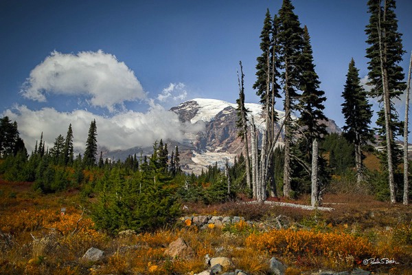 Mt. Rainer Washington
