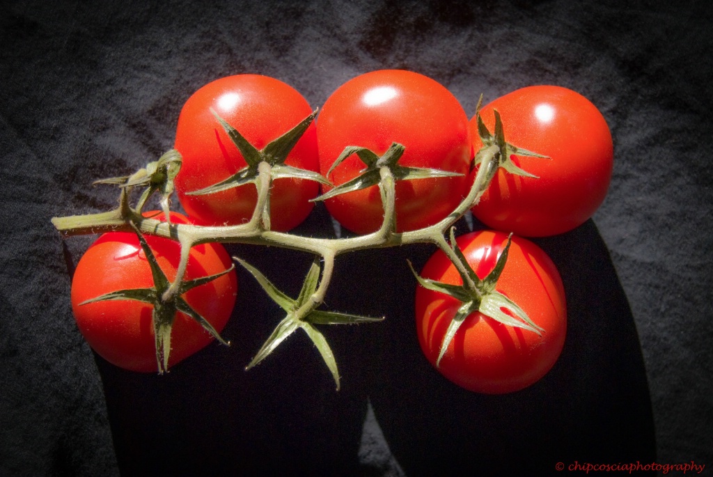 Tomatoes On The Vine