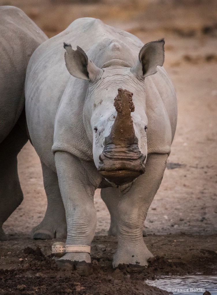 What Mud?