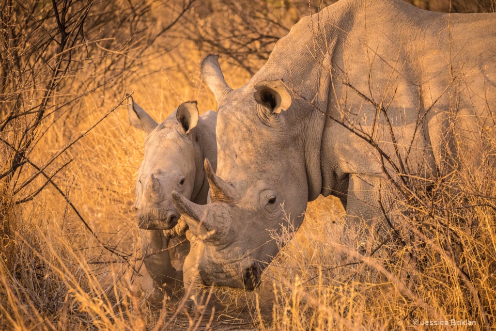 Mother with Baby Girl