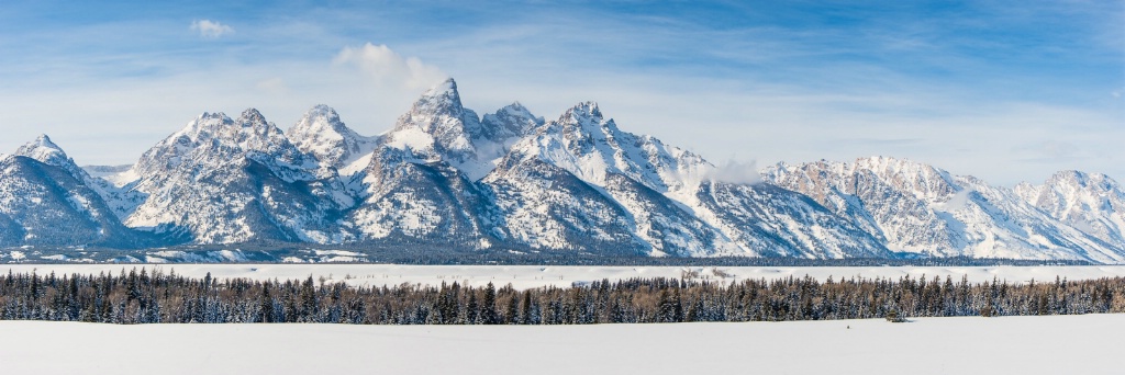 IPO-YNP 