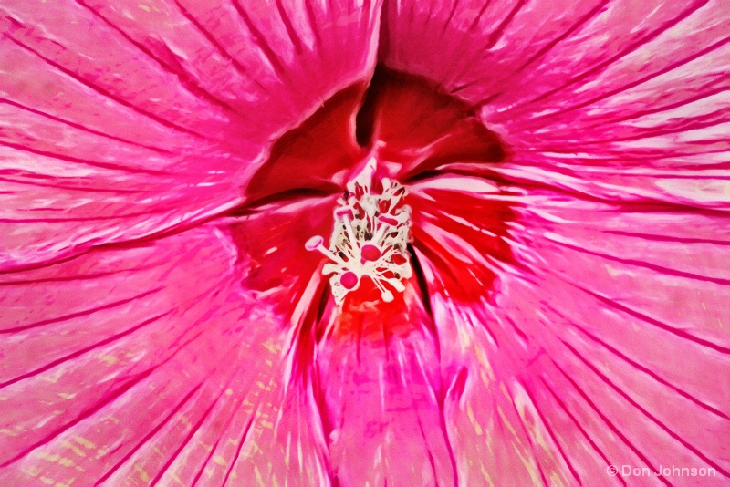 Artistic Pink Hibiscus Macro 9-25-16 291