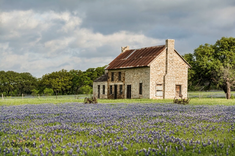 Bluebonnet House