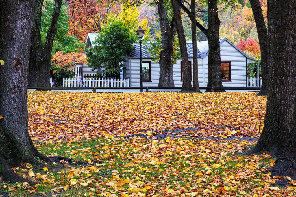 Cottage in Autumn