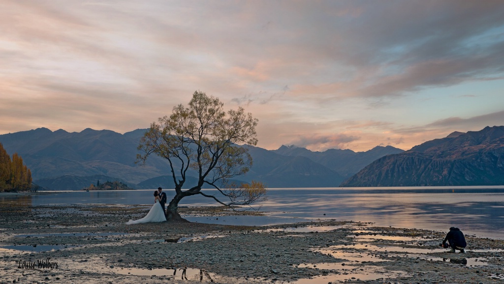 Wanaka Wedding