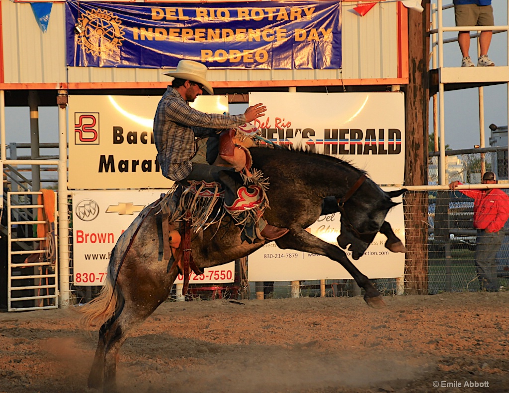 Time to Rodeo Congratulation Winner and Finalist