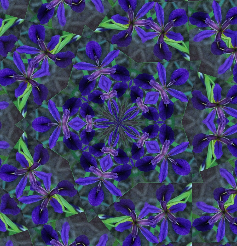 48
