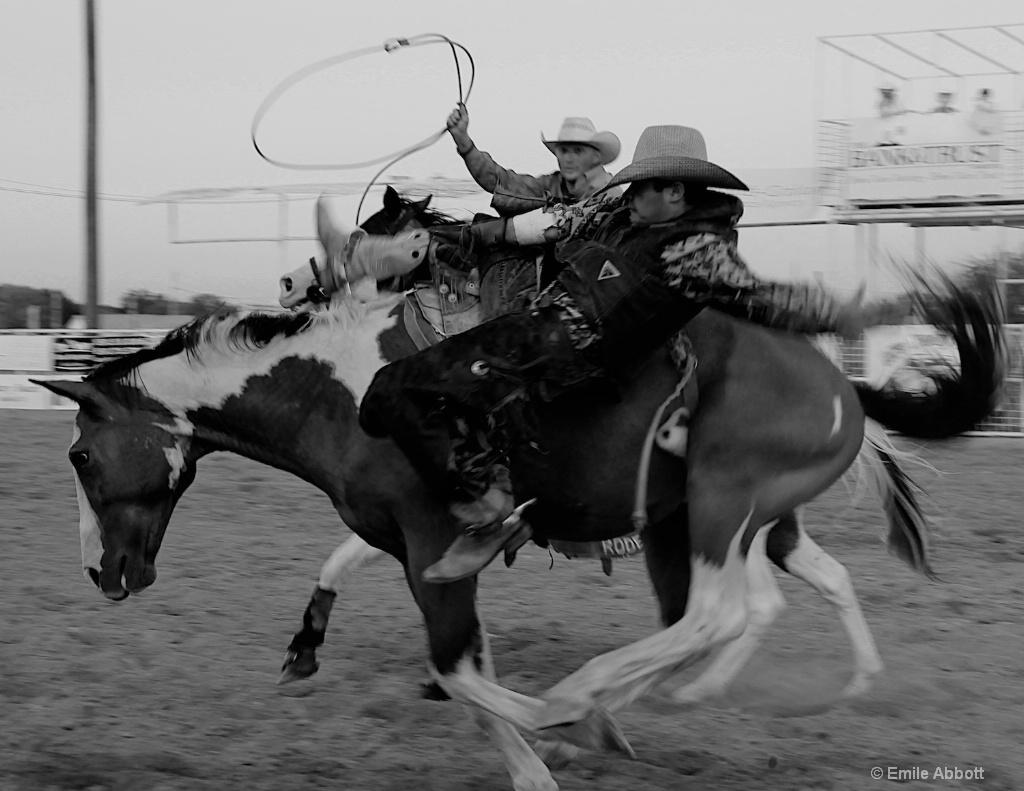 Bareback in BW