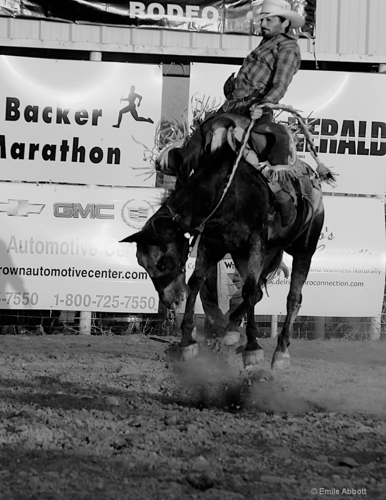 Saddle Bronc Riding