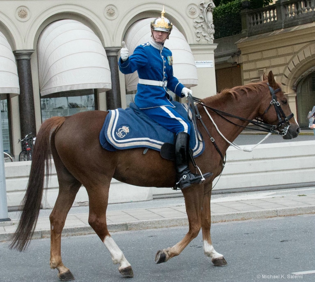 AOK With the Stockholm Horse Guard