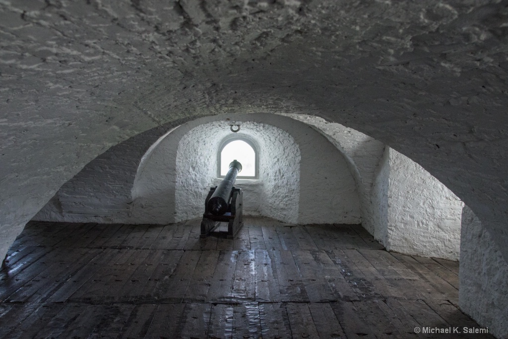 Vaulted Ceilings in Fort