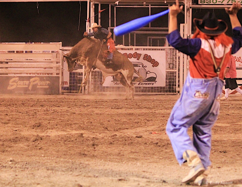 Pointing to the bull rider