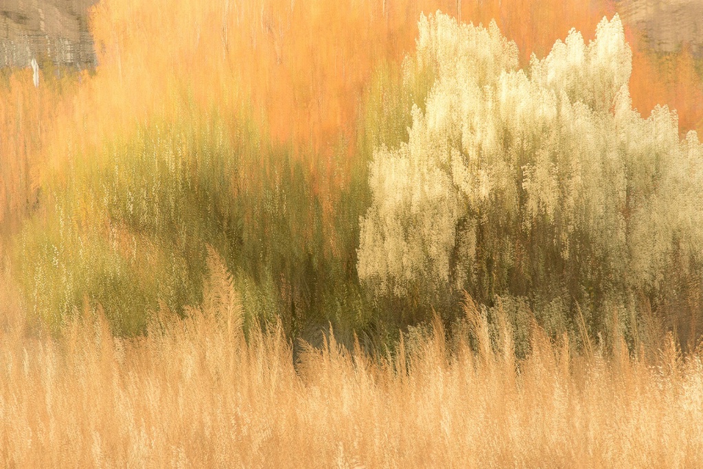 52