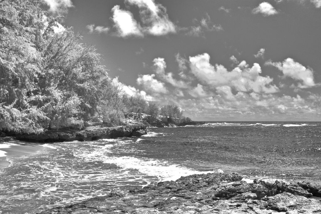 Coast of Kauai (Infrared Camera)