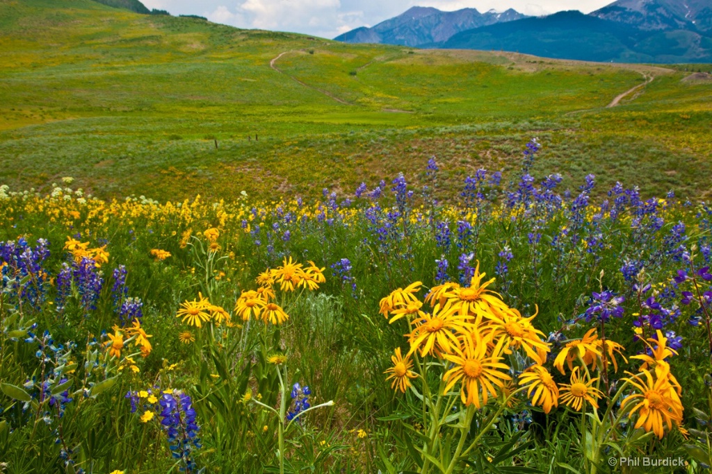 Crested Butte CO