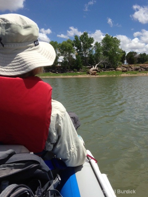 Kayaking White Mtn Lake Juniper Ridge AZ.JPG