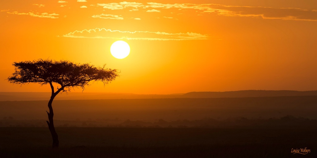 Mara Plains Sunset