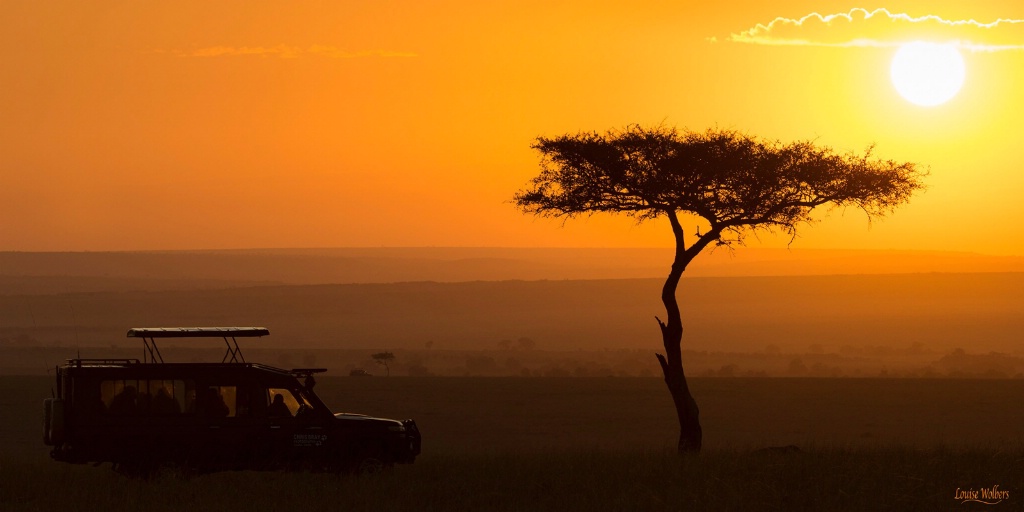 Safari Sunset