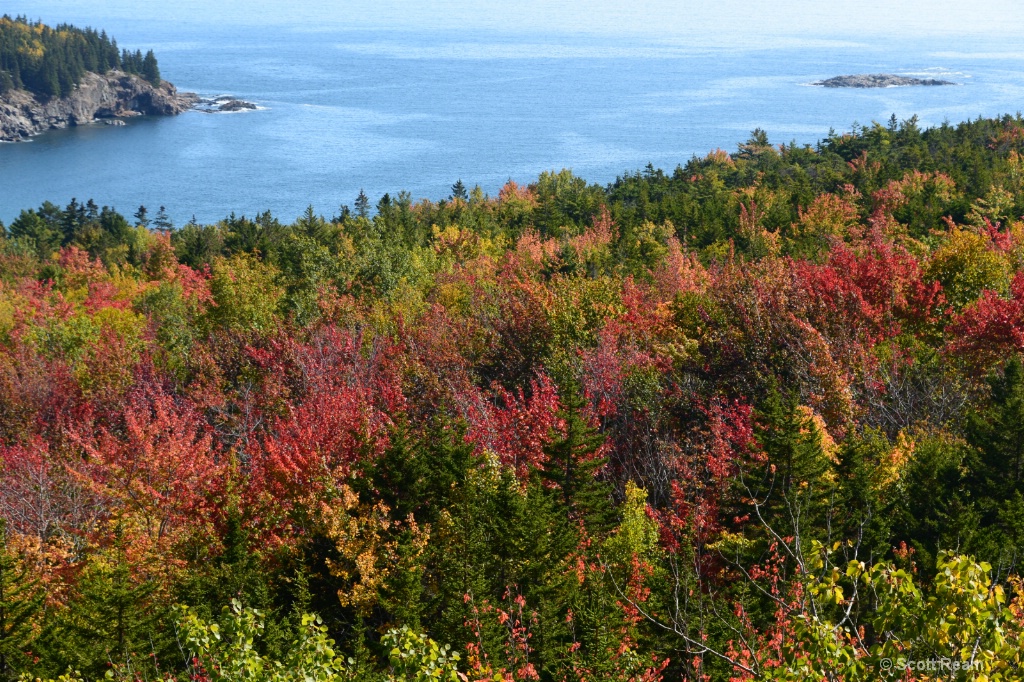 ND4 0601.JPG