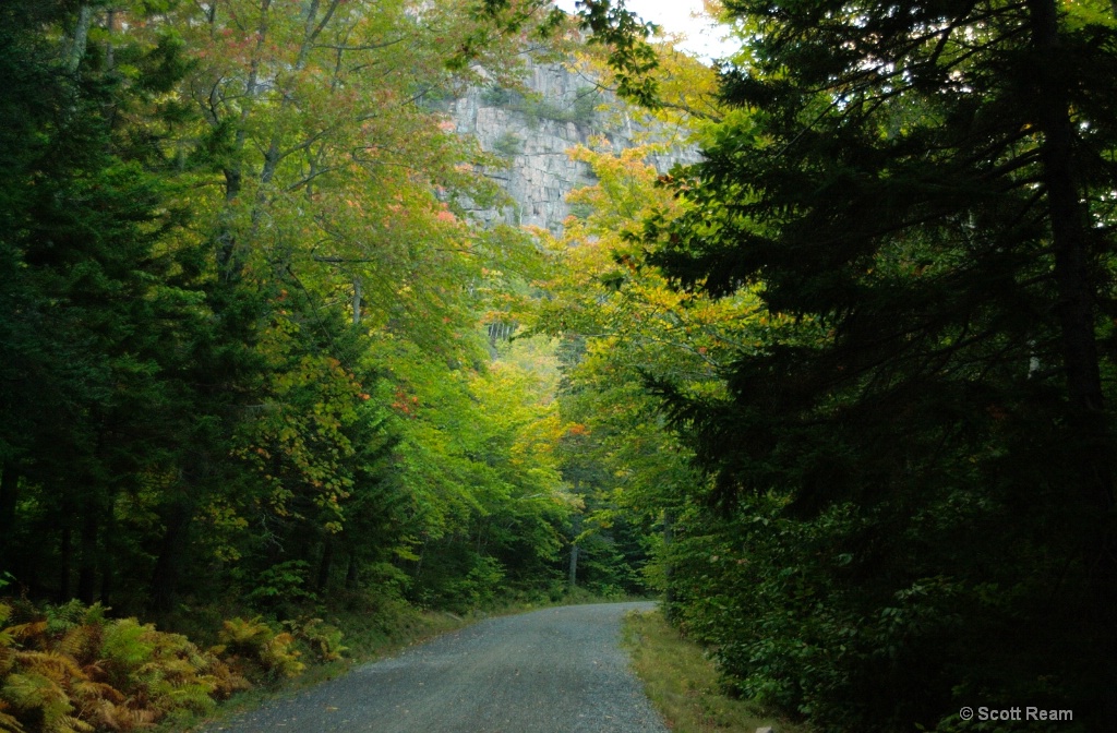 Bar Harbor.2002.Eagle Lake Carriage Road in Fall