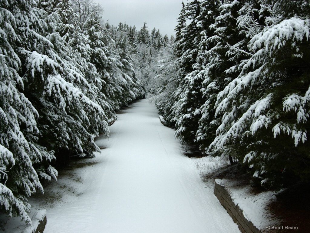 Bar Harbor.2001.Park Loop Road with Virgin Snow