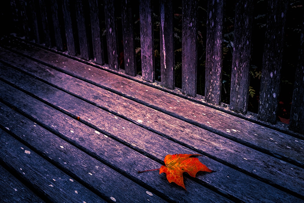 Autumn's Finale
