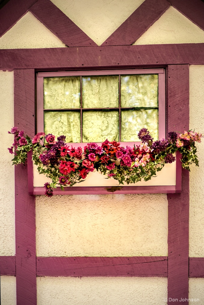 Window & Flowers