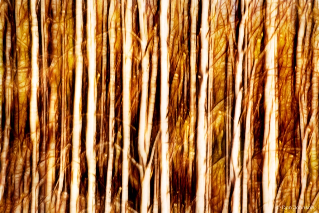 Swipe of a Forest-Abstract 11-2-17 229
