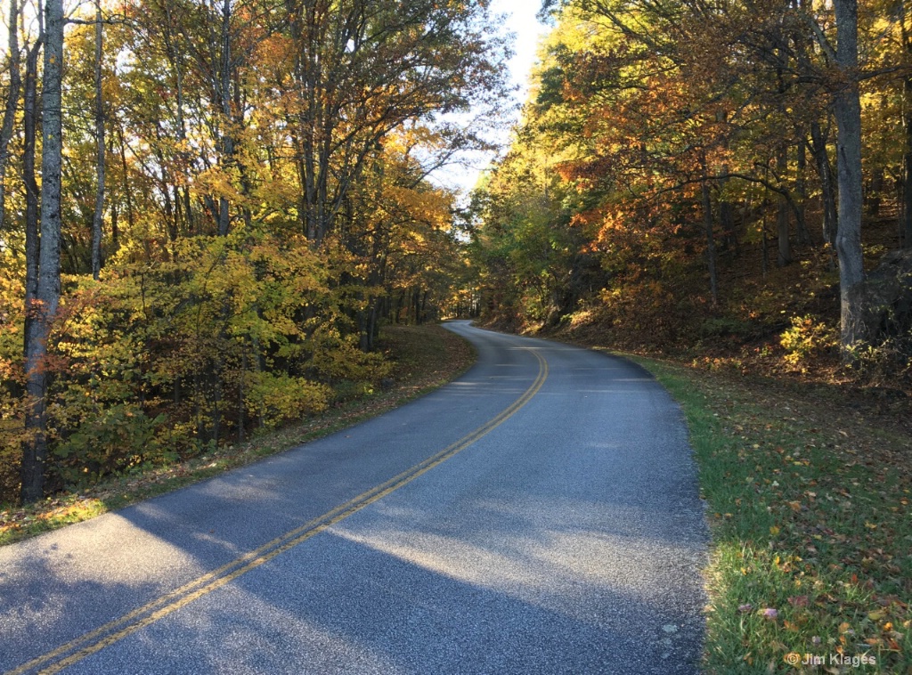 Fall Colors in Virginia