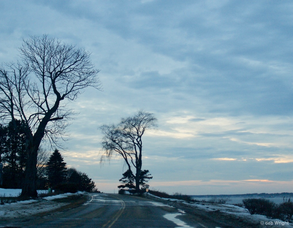 Two trees