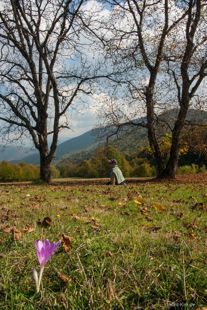 Autumn in the Balkan