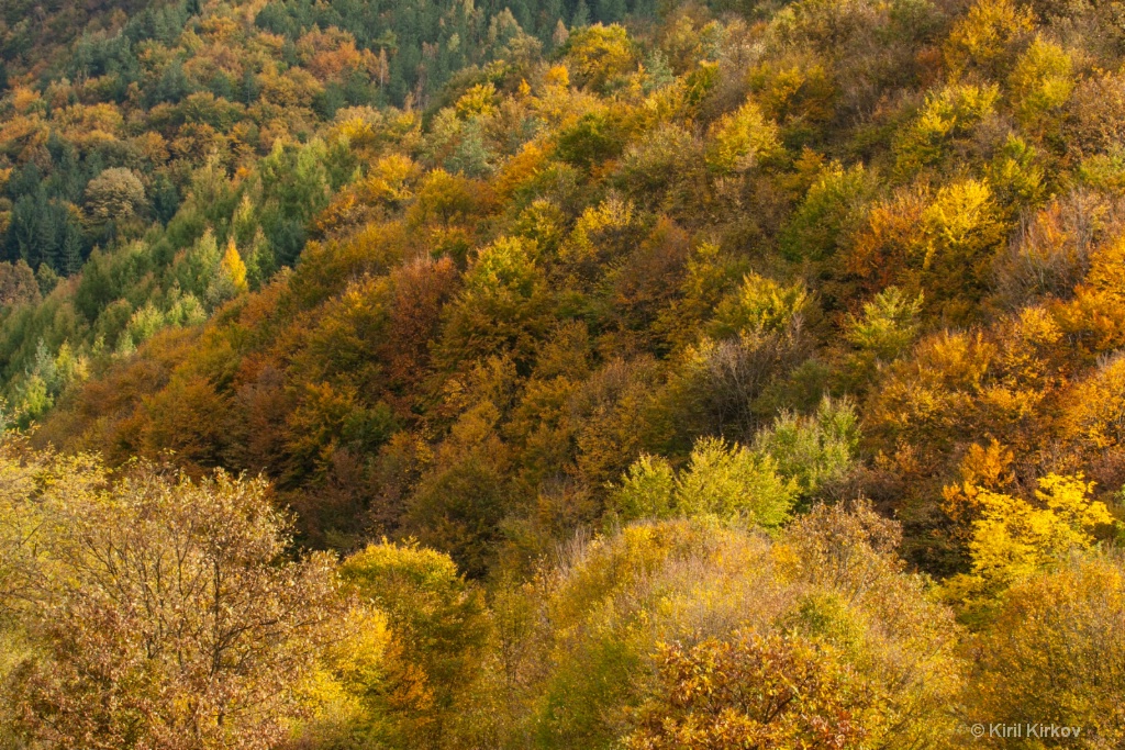 Autumn in Bulgaria