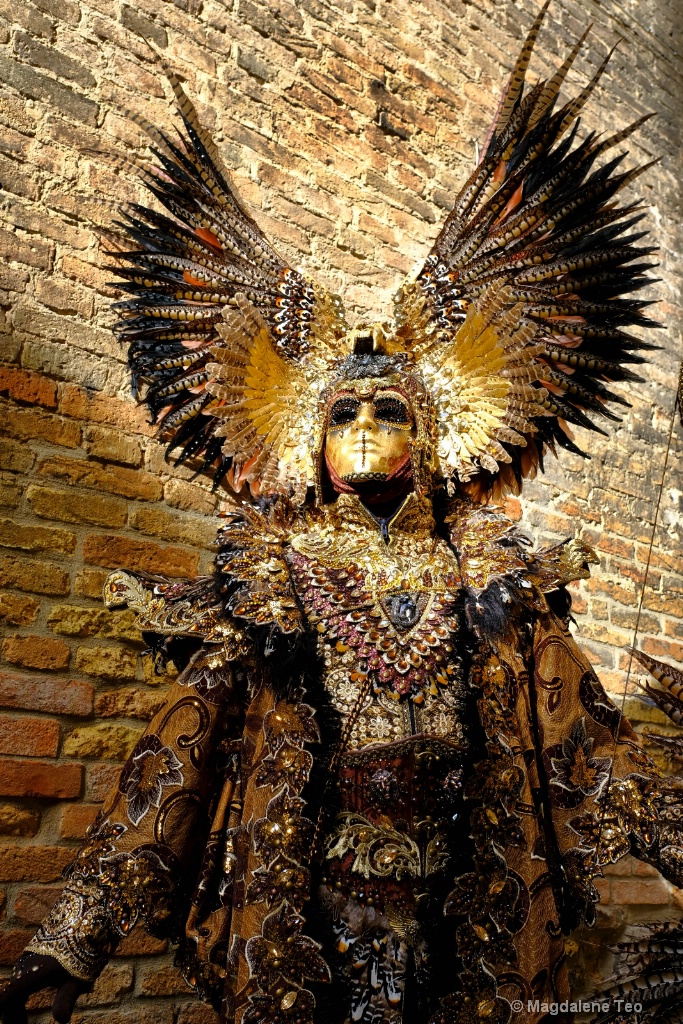 Venice Carnival: Color Series - Gold Glory 