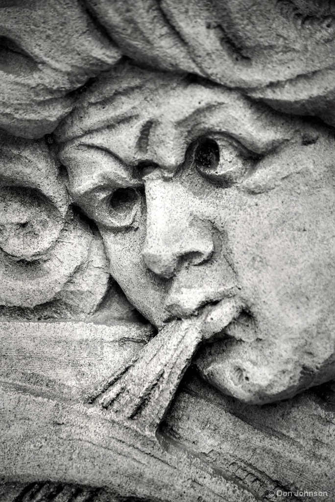 Princeton Gargoyle 4-22-17 246