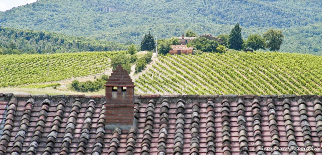 Pastoral Tuscany