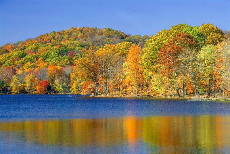 Radnor Lake 8b LR