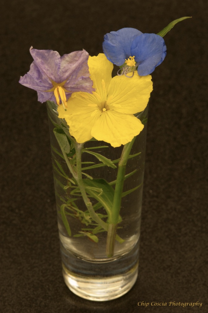 Three Wildflowers In A Glass