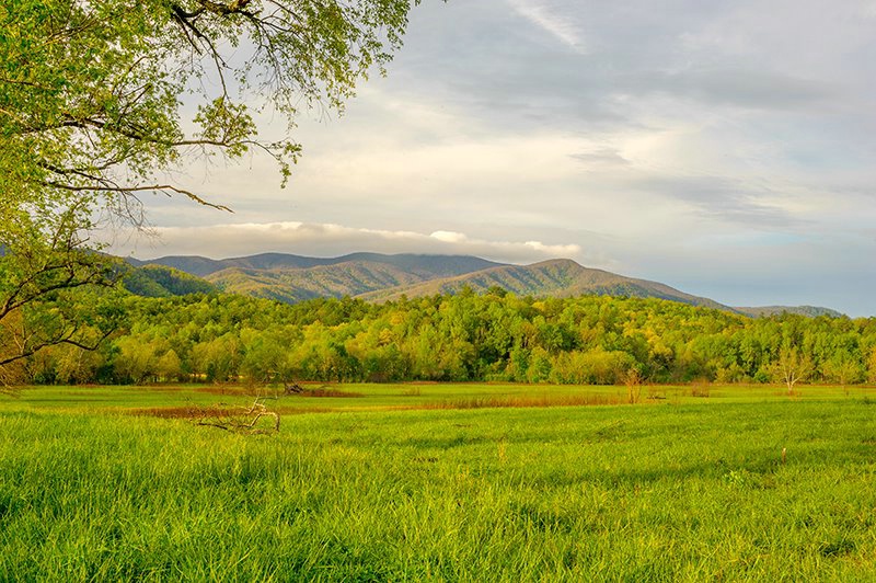 Cades Cove View 25