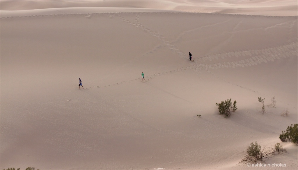 Hiking the sand dunes