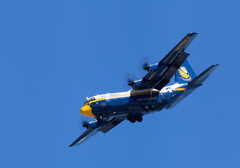 Fat Albert