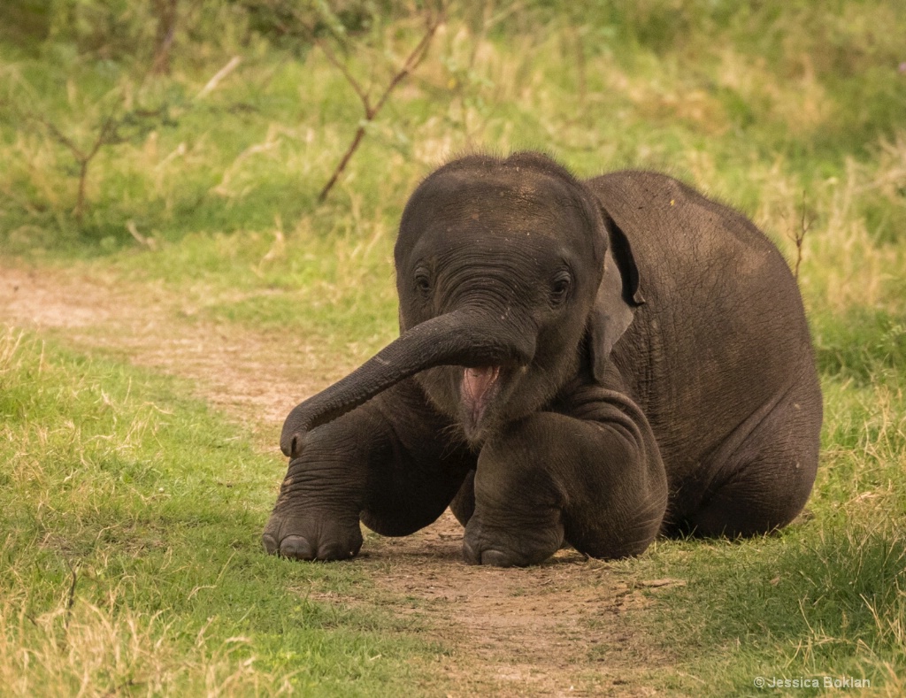 Baby Greeting