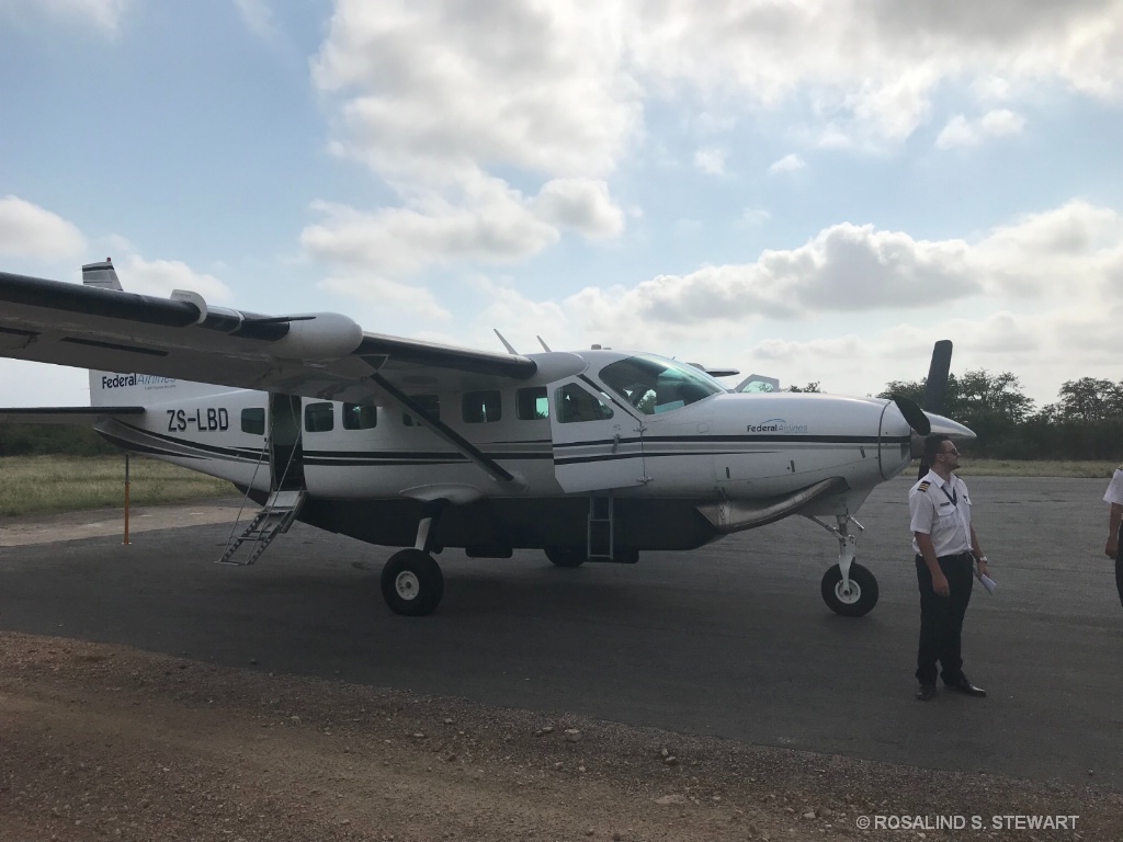 Bush plane