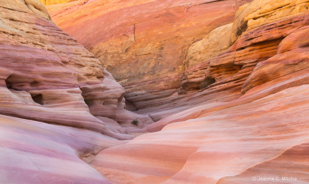 Valley of Fire