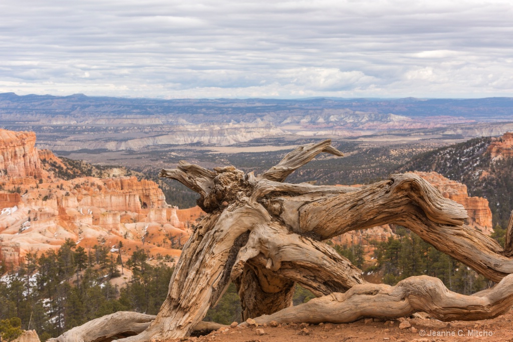 Bryce Canyon