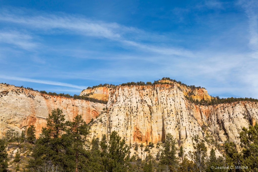 Zion National Park